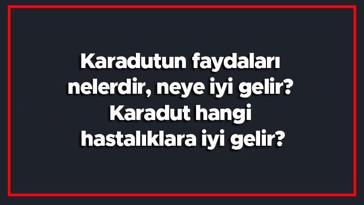 Karadutun faydaları nelerdir, neye iyi gelir Karadut hangi hastalıklara iyi gelir