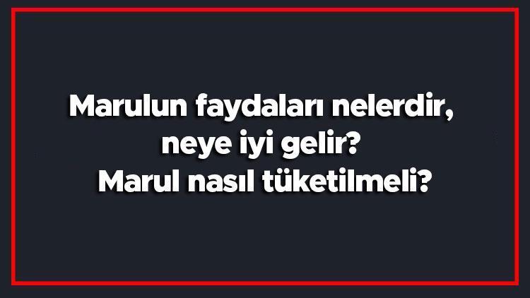 Marulun faydaları nelerdir, neye iyi gelir Marul nasıl tüketilmeli