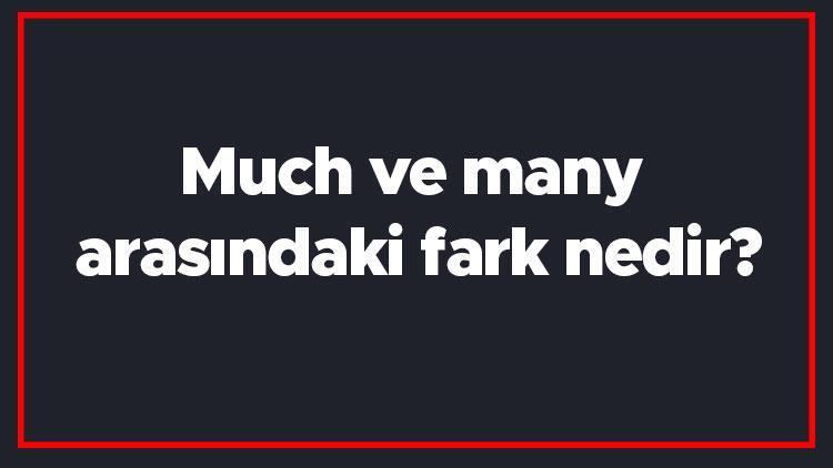 Much ve many arasındaki fark nedir İngilizce much ile many farkı