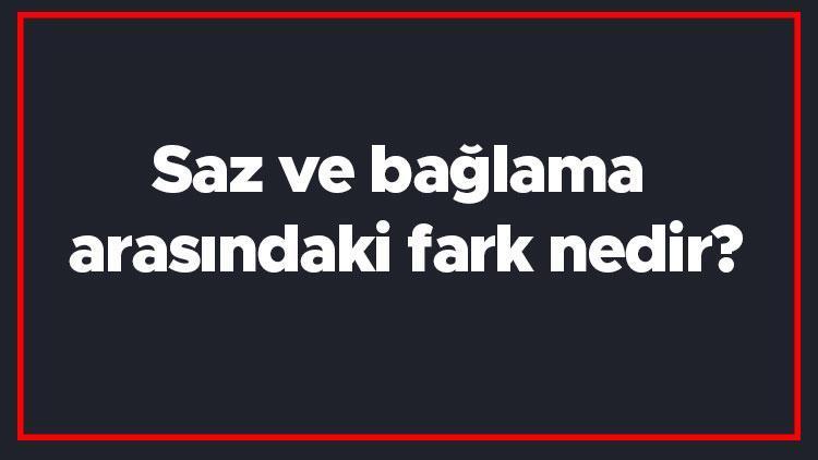 Saz ve bağlama arasındaki fark nedir Saz ile bağlamanın farkı