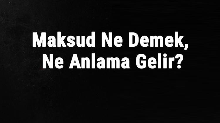 Maksud Ne Demek, Ne Anlama Gelir Maksud Kelimesinin Tdk Sözlük Anlamı