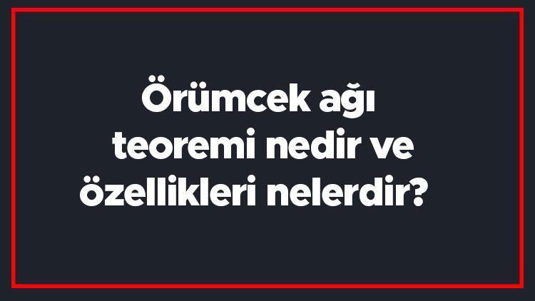 Örümcek ağı teoremi nedir ve özellikleri nelerdir Örnekleri ile örümcek ağı (cobweb) teoremi