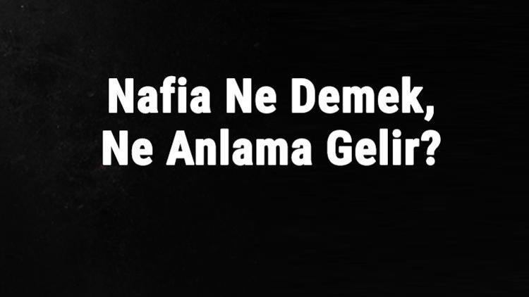 Nafia Ne Demek, Ne Anlama Gelir Nafia Kelimesinin Tdk Sözlük Anlamı