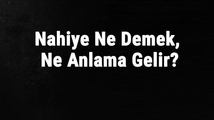 Nahiye Ne Demek, Ne Anlama Gelir Nahiye Kelimesinin Tdk Sözlük Anlamı