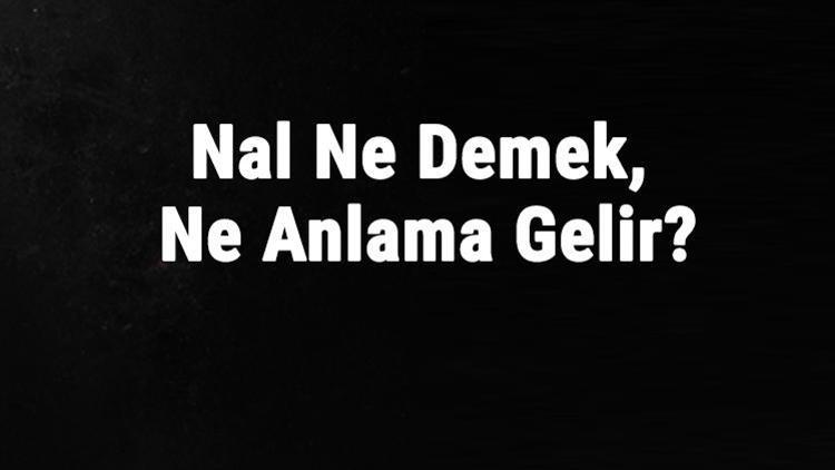 Nal Ne Demek, Ne Anlama Gelir Nal Kelimesinin Tdk Sözlük Anlamı