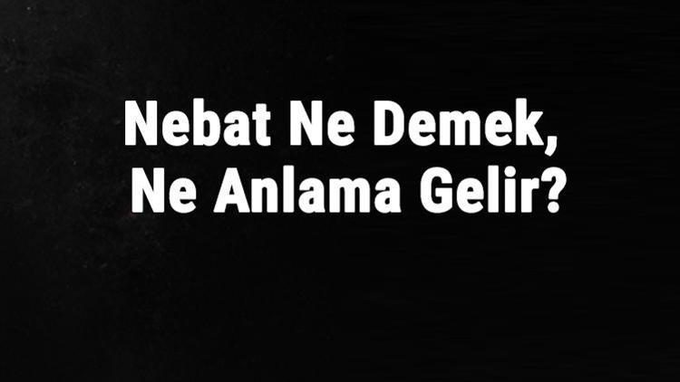 Nebat Ne Demek, Ne Anlama Gelir Nebat Kelimesinin Tdk Sözlük Anlamı