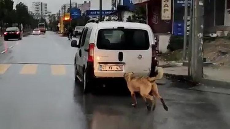 Mersin’de tepki çeken görüntü