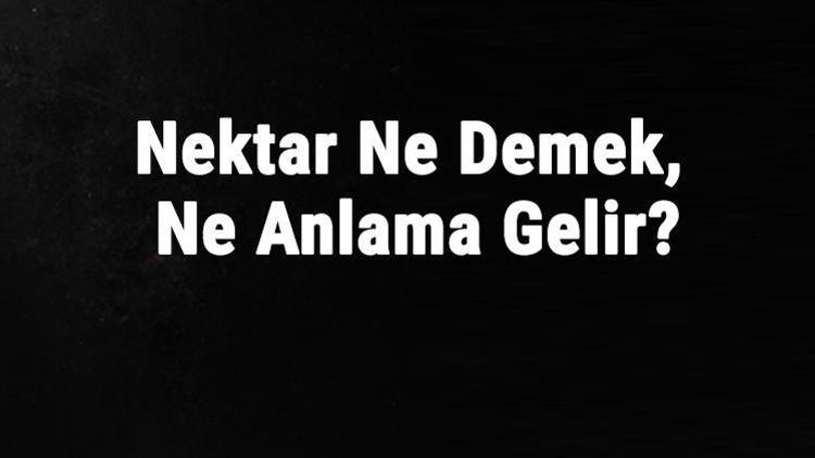 Nektar Ne Demek, Ne Anlama Gelir Nektar Kelimesinin Tdk Sözlük Anlamı