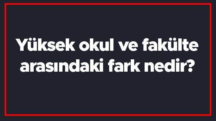 Yüksek okul ve fakülte arasındaki fark nedir Fakülte ile yüksek okul farkı