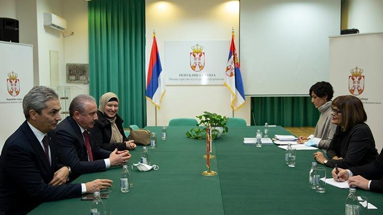 Şentop, Sırbistan Kültür ve Enformasyon Bakanı Gojkovic ile görüştü
