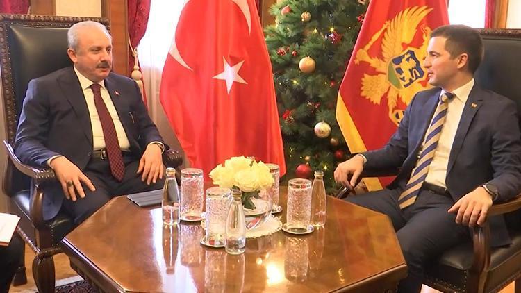TBMM Başkanı Şentop, Karadağ Meclis Başkanı Beçiç ile bir araya geldi