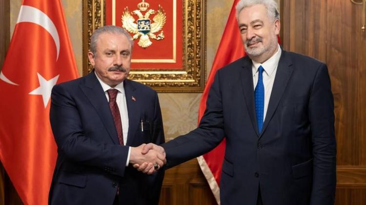 TBMM Başkanı Şentop, Karadağ Başbakanı Krivokapic ile bir araya geldi