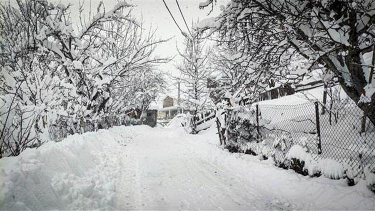 Artvin’de buzlanma ve kar yağışı nedeniyle okullar yarın yine tatil edildi