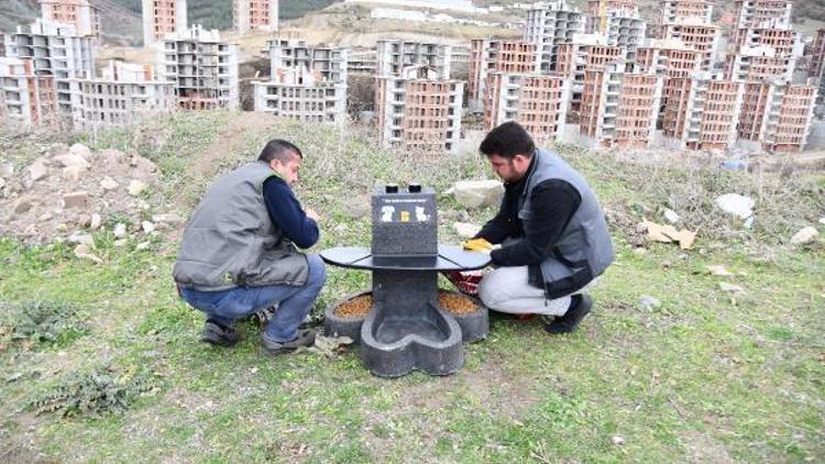 Balıkesir Büyükşehir Belediyesinden sokak hayvanlarına pati beslenme ünitesi