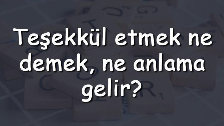 Teşekkül etmek ne demek, ne anlama gelir Teşekkül etmek bitişik mi yazılır ayrı mı TDK sözlük anlamı