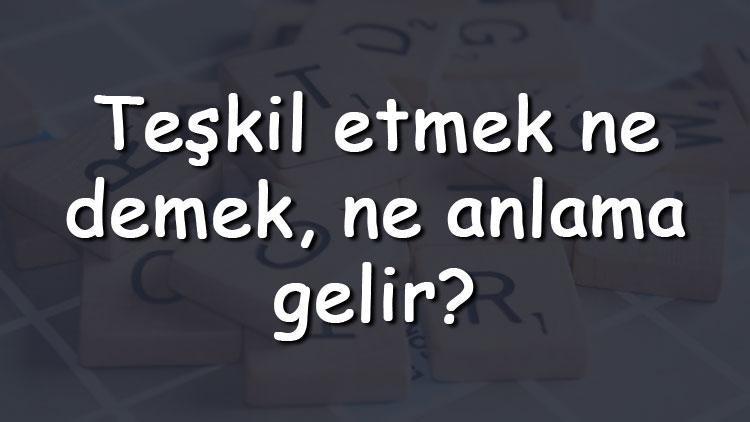 Teşkil etmek ne demek, ne anlama gelir Teşkil etmek bitişik mi yazılır ayrı mı TDK Sözlük Anlamı