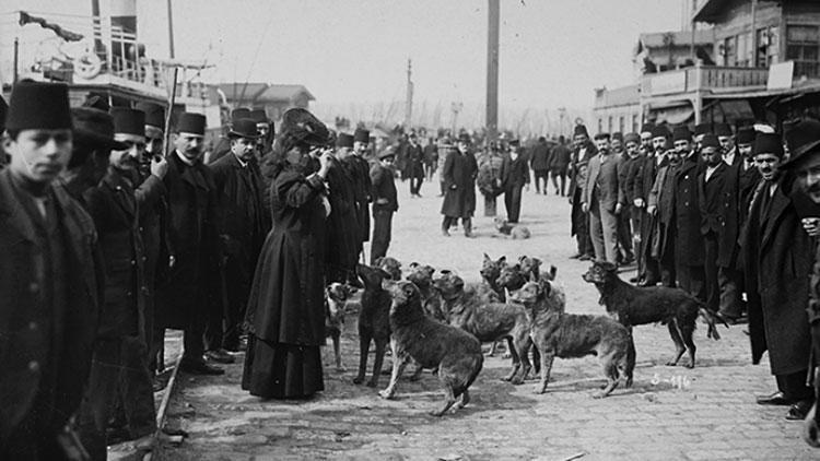 İstanbul’un ‘it efendileri’