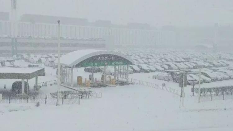 Japonyada yoğun kar yağışı 220 uçuş ve 130 tren seferi iptal edildi