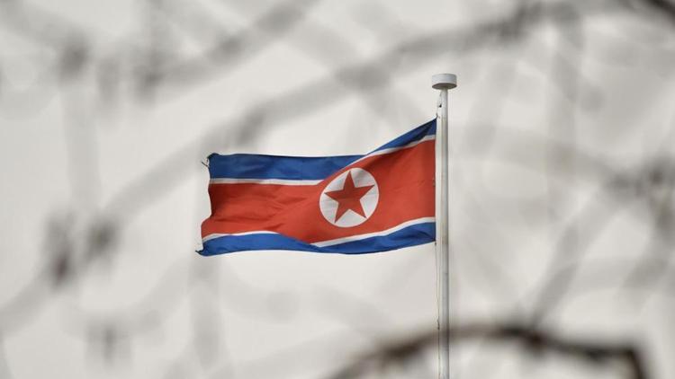 Güney Koreye kaçan jimnastikçi Kuzey Koreye kaçak yollardan geri döndü