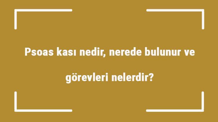 Psoas kası nedir, nerede bulunur ve görevleri nelerdir İliopsoas kası esnetme ve güçlendirme egzersizleri