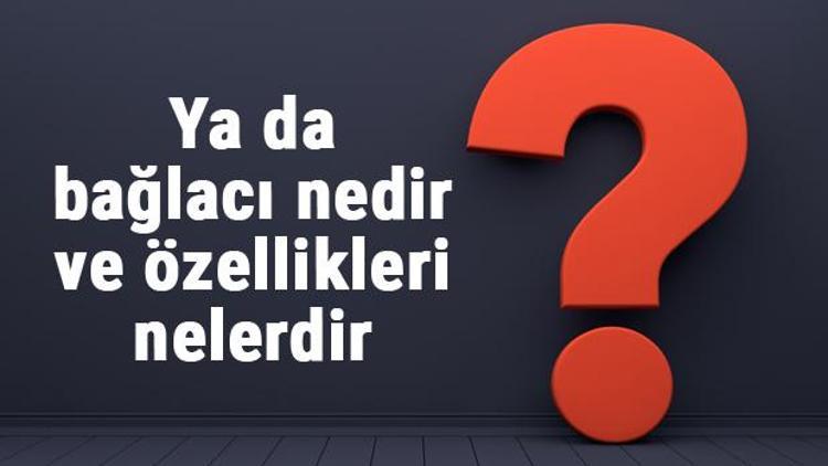 Ya da bağlacı nedir ve özellikleri nelerdir Ya da bağlacı örnekleri ile konu anlatımı (mantık)