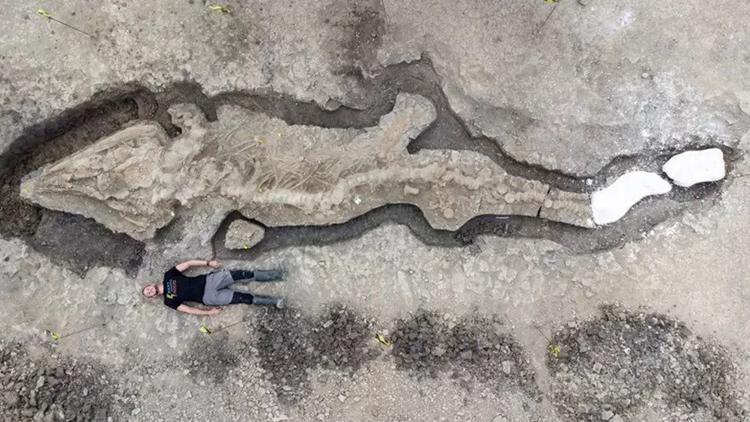 İngilterede dev deniz ejderhası fosili bulundu