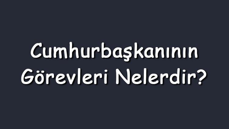 Cumhurbaşkanının görevleri nelerdir Maddeler halinde cumhurbaşkanının yetkileri ve sorumlulukları