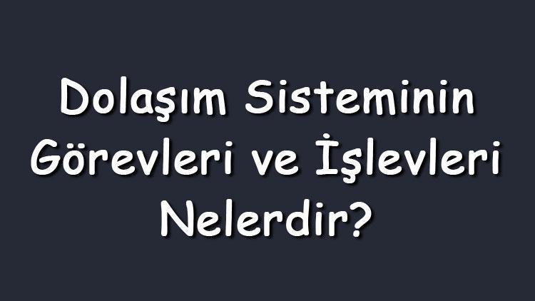 Dolaşım sisteminin görevleri ve işlevleri nelerdir (Maddeler halinde)