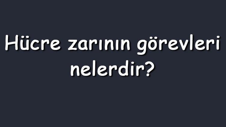 Hücre zarının görevleri nelerdir Hücre zarının özellikleri ve zara özgünlük sağlayan moleküller