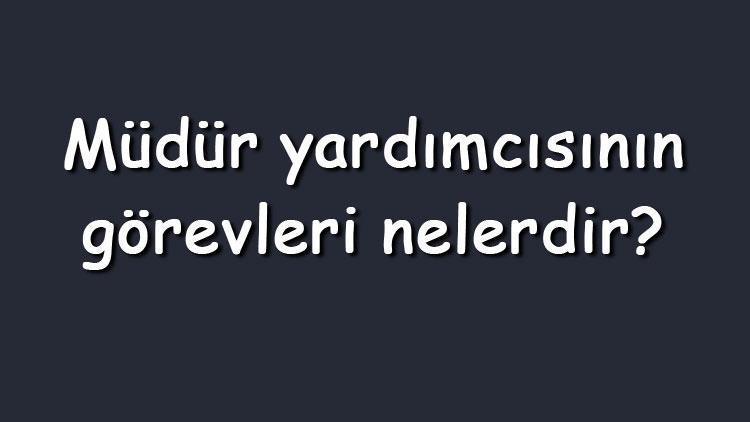 Müdür yardımcısının görevleri ve sorumlulukları nelerdir Müdür yardımcısının yapacağı işlemler