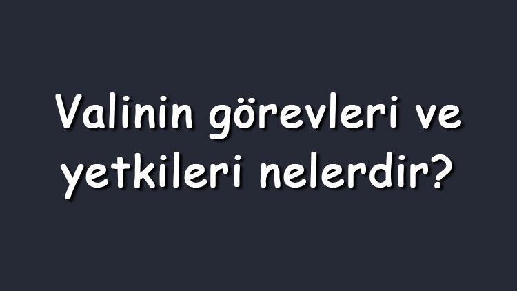 Valinin görevleri ve yetkileri nelerdir Valinin sorumlu olduğu kurumlar