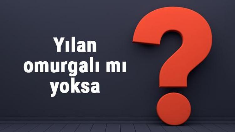 Yılan omurgalı mı yoksa omurgasız mıdır