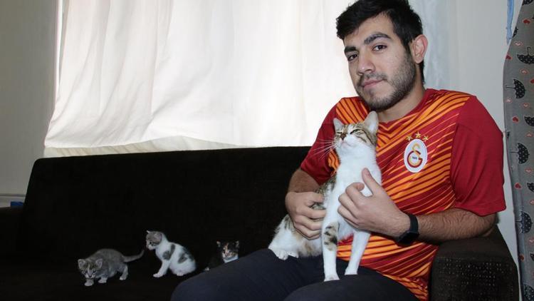 Üşümesin diye aldığı kedi üç yavruyla sürpriz yaptı