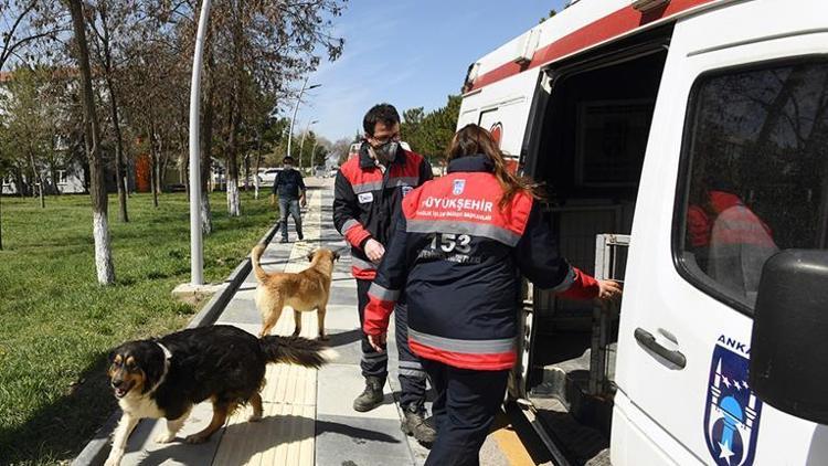 Belediyelerin can dost hattı