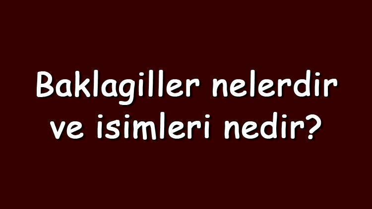 Baklagiller nelerdir ve isimleri nedir Baklagiller protein mi ve faydaları