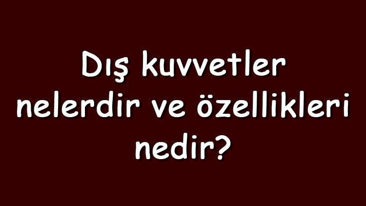 Dış kuvvetler nelerdir ve özellikleri nedir Coğrafya dış kuvvetler konu anlatımı