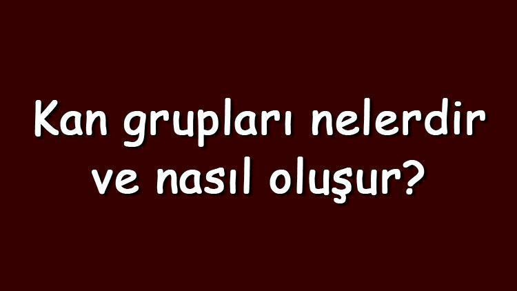 Kan grupları nelerdir ve nasıl oluşur Kan grupları dağılımı ve yüzdesi