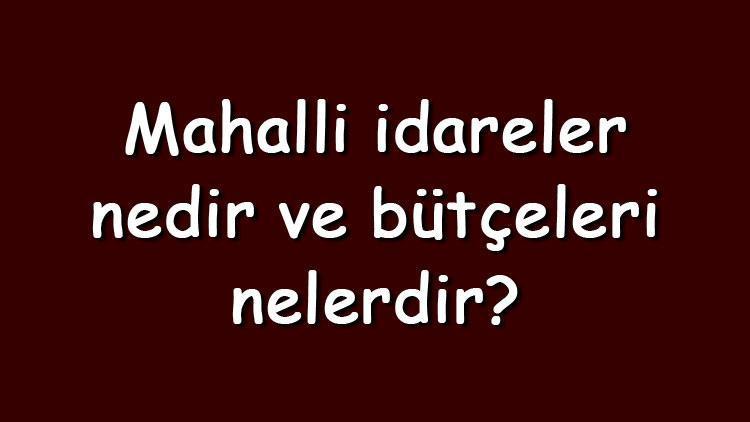 Mahalli idareler nedir ve bütçeleri nelerdir