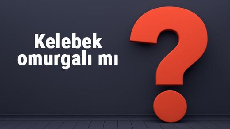 Kelebek omurgalı mı yoksa omurgasız mıdır