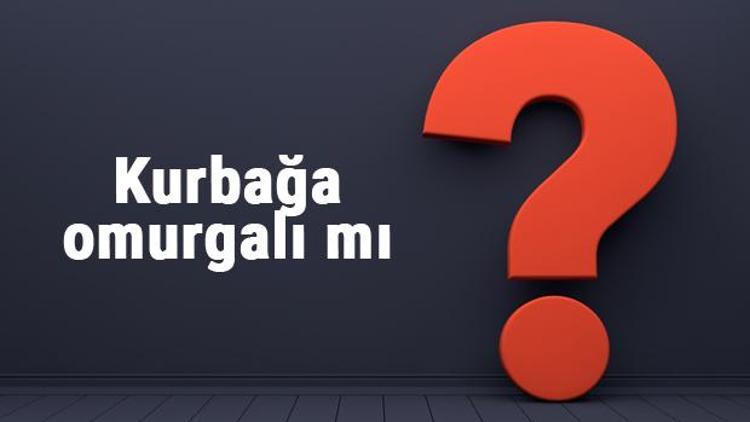 Kurbağa omurgalı mı yoksa omurgasız mıdır