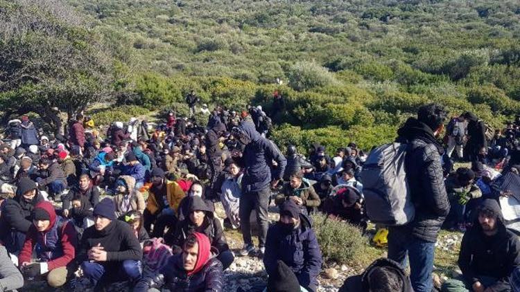 İzmirde 492 kaçak göçmen yakalandı: 6 gözaltı