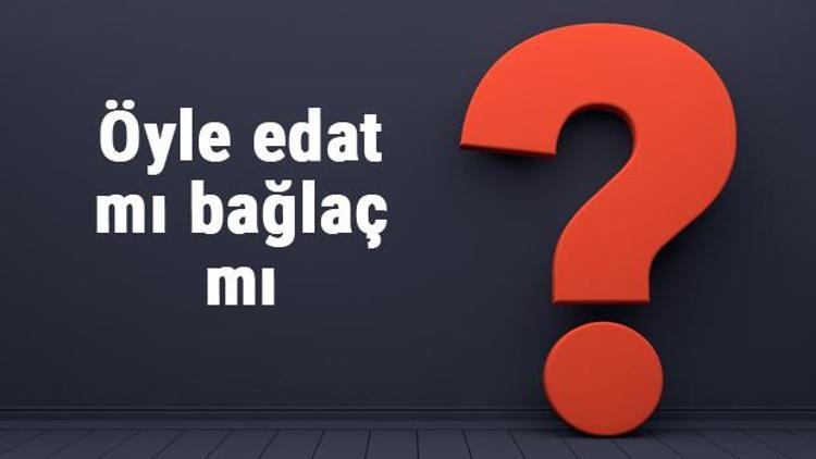 Öyle edat mı bağlaç mı Hangisi olduğunu nasıl anlarız (TDK)