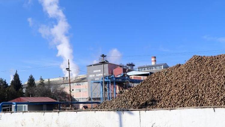 Burdur Şeker Fabrikasında 66 bin ton şeker üretildi