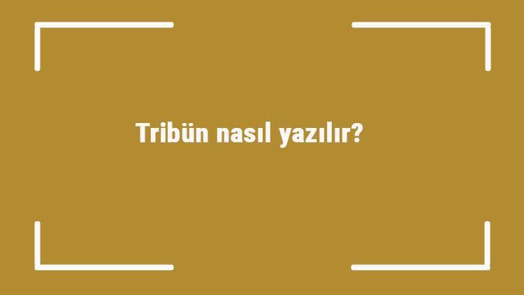 Tribün nasıl yazılır Tribün kelimesinin TDKya göre doğru yazılışı..