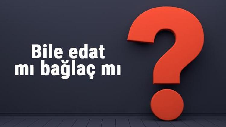 Bile edat mı bağlaç mı Hangisi olduğunu nasıl anlarız (TDK)