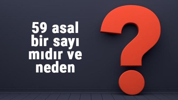 59 asal mı 59 asal bir sayı mıdır ve neden