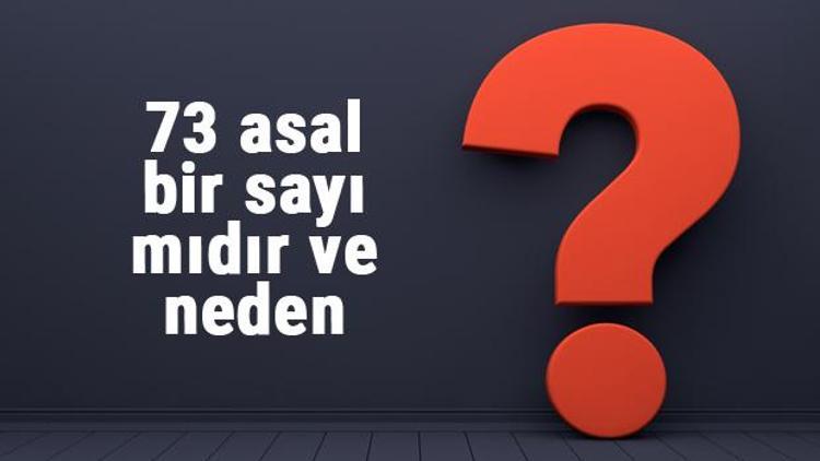 73 asal mı 73 asal bir sayı mıdır ve neden