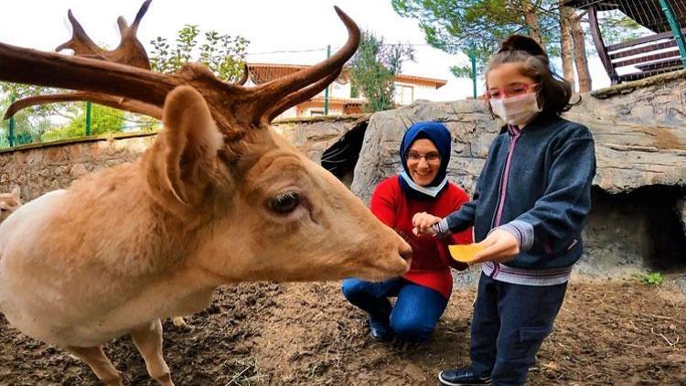 Avrupa’daki Türk ailelerin umudu Türkiye