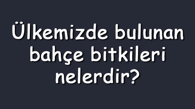 Ülkemizde bulunan bahçe bitkileri nelerdir Dikey ve kaya bahçesi bitkilerinin isimleri