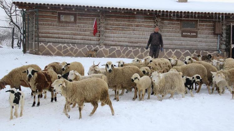 Karın tadını onlar da çıkarıyor